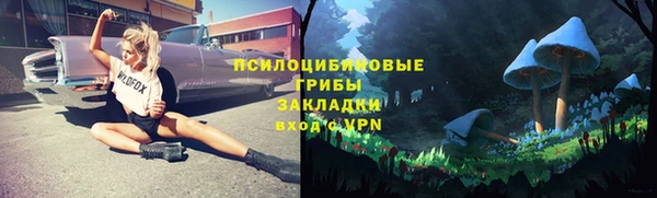эйфоретик Верея