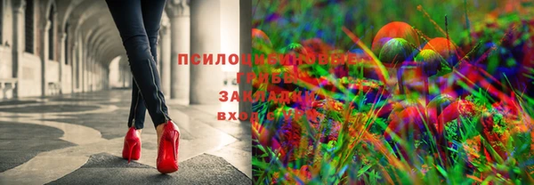 эйфоретик Верея