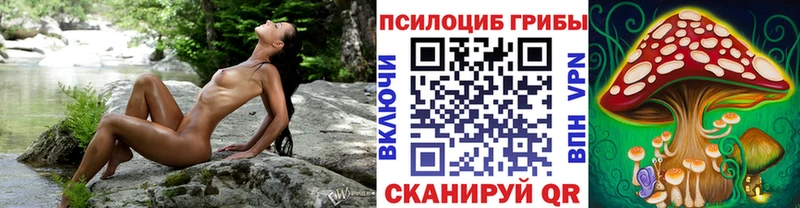 магазин продажи   Рузаевка  Галлюциногенные грибы прущие грибы 